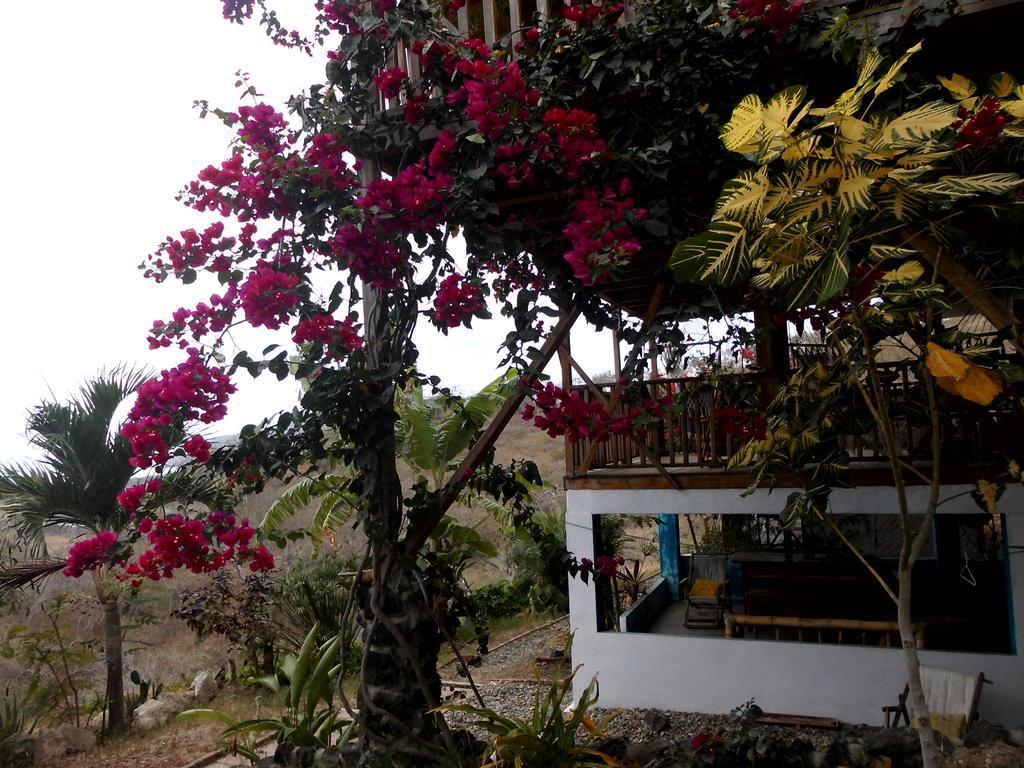 Maremonti Bed & Breakfast Puerto López 외부 사진