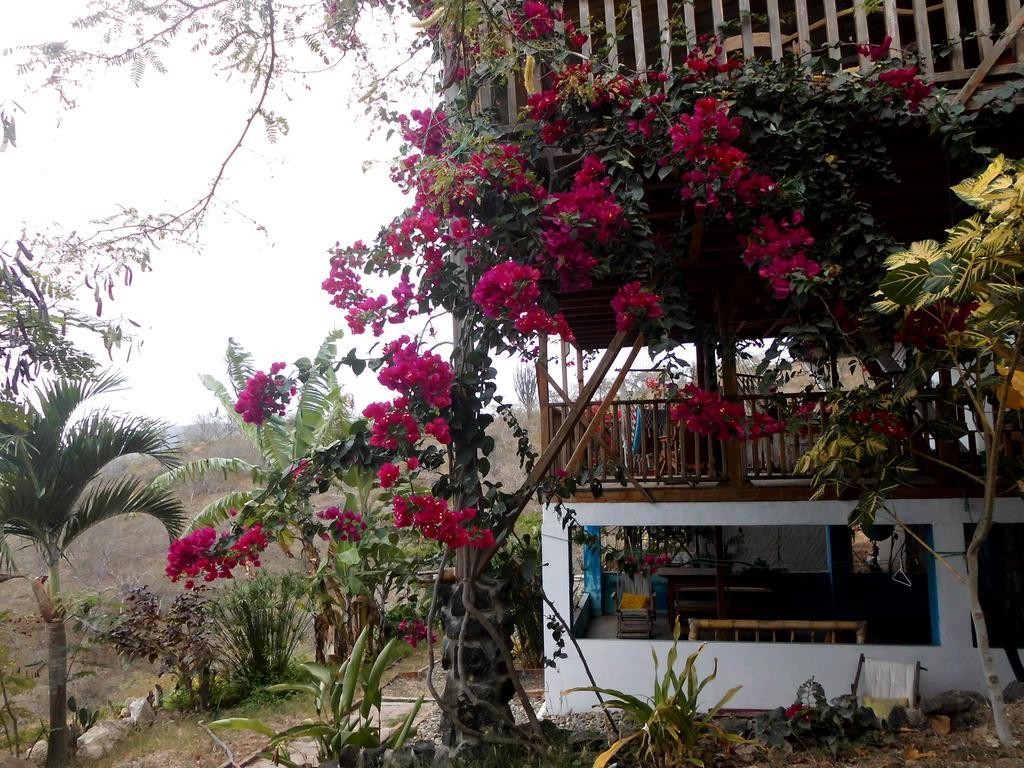 Maremonti Bed & Breakfast Puerto López 외부 사진