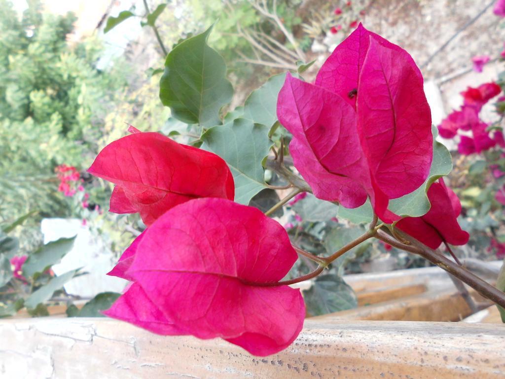 Maremonti Bed & Breakfast Puerto López 외부 사진