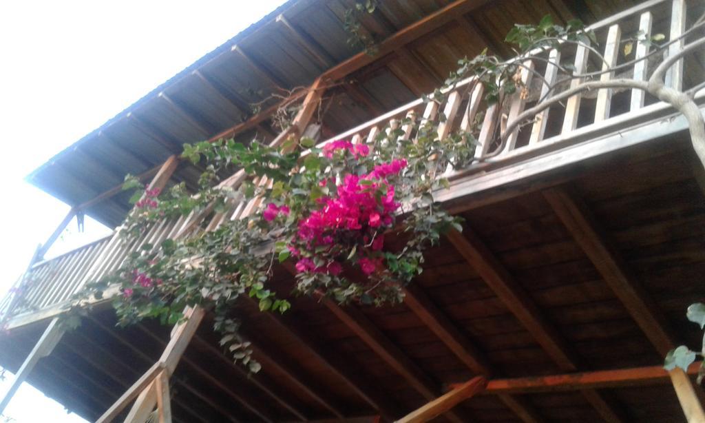 Maremonti Bed & Breakfast Puerto López 외부 사진